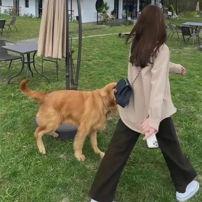 战地女护士